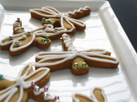 dragonfly cookies